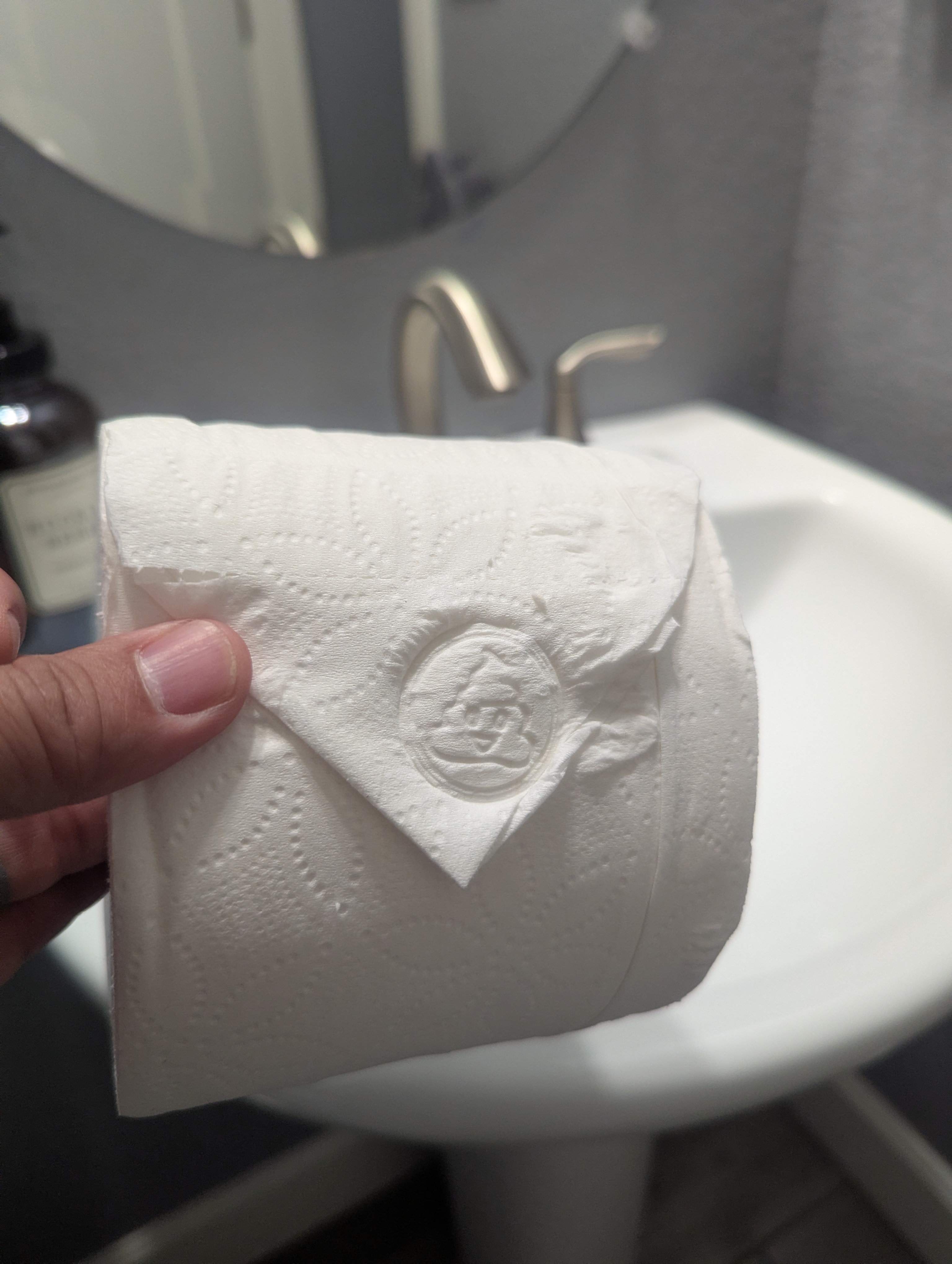 Poop Emoji Toilet Paper Embosser
